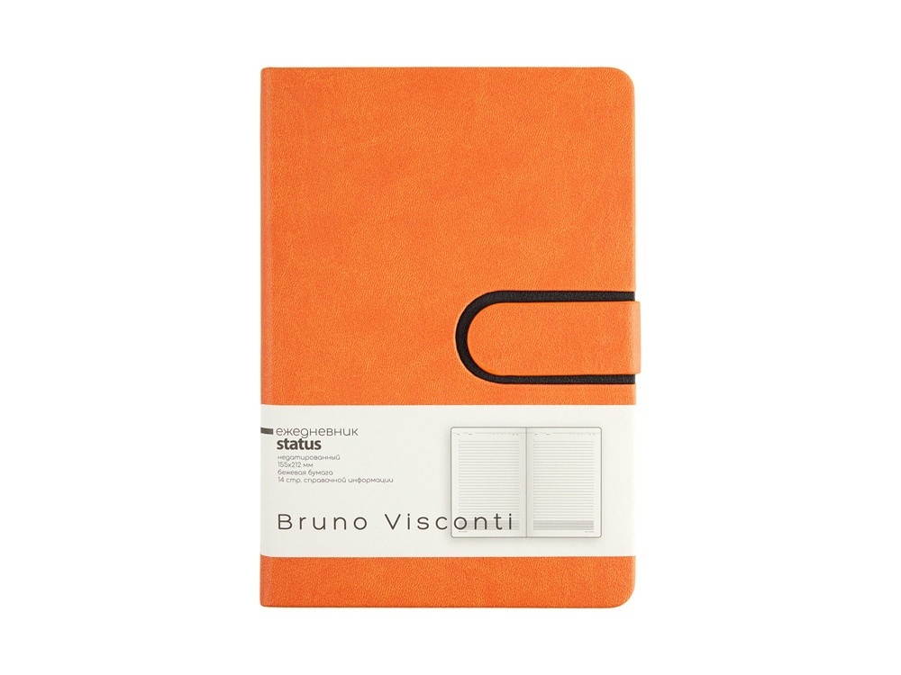 Ежедневник недатированный А5 Status