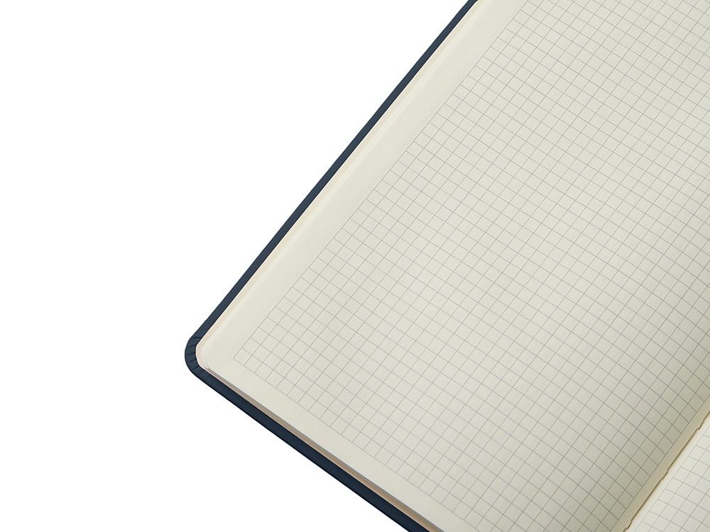 Блокнот в твердой обложке A5 Виспи в клетку