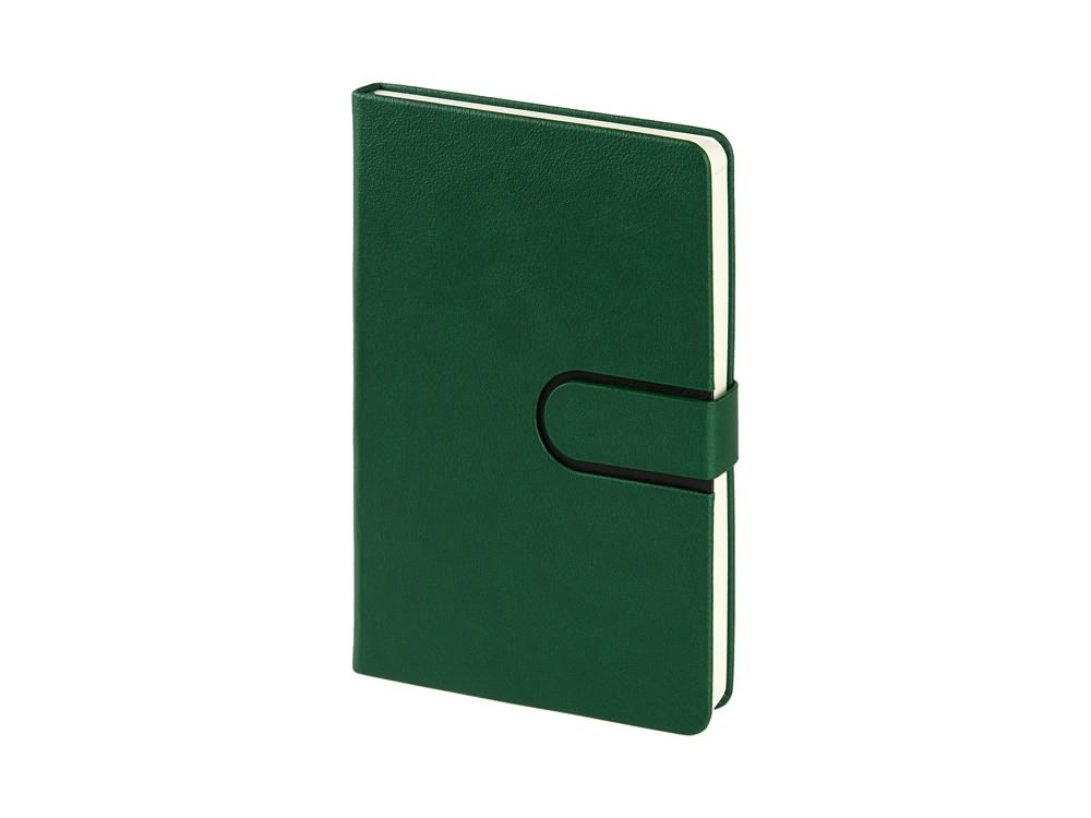 Ежедневник недатированный А5 Status