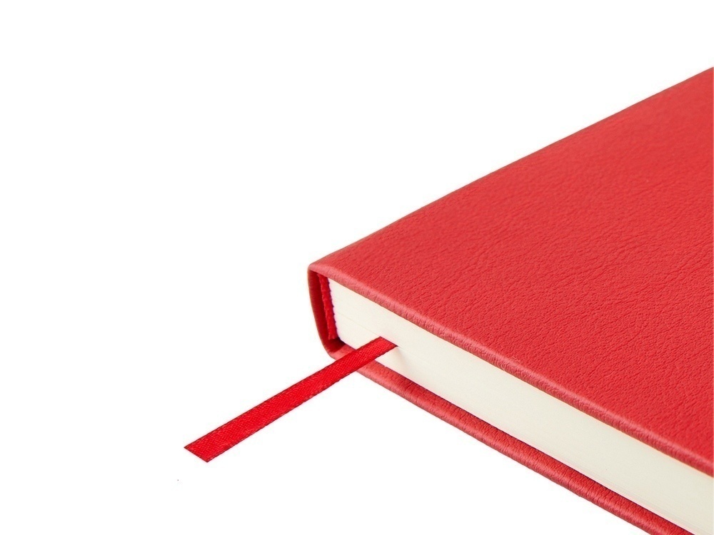 Ежедневник недатированный А5 Status