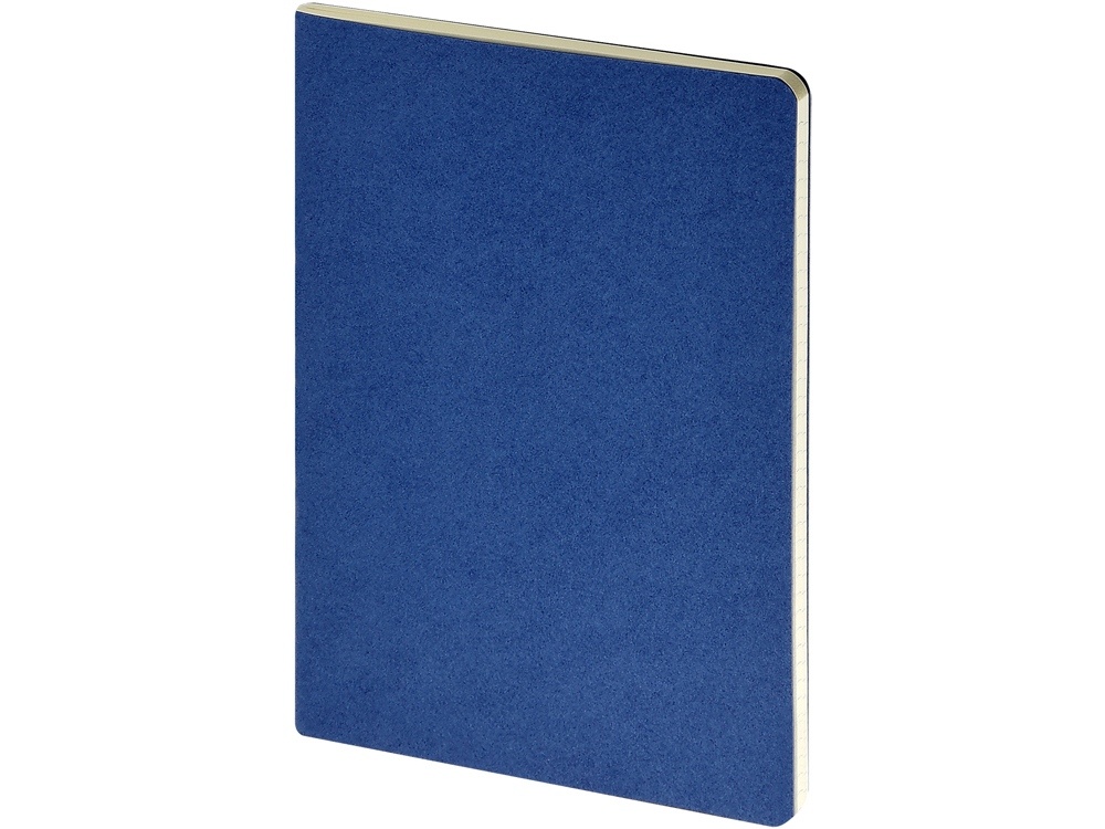 Бизнес-тетрадь А4 Pragmatic