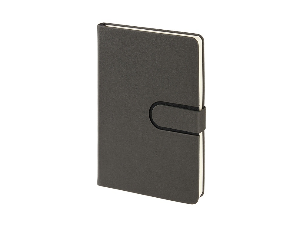 Ежедневник недатированный А5 Status