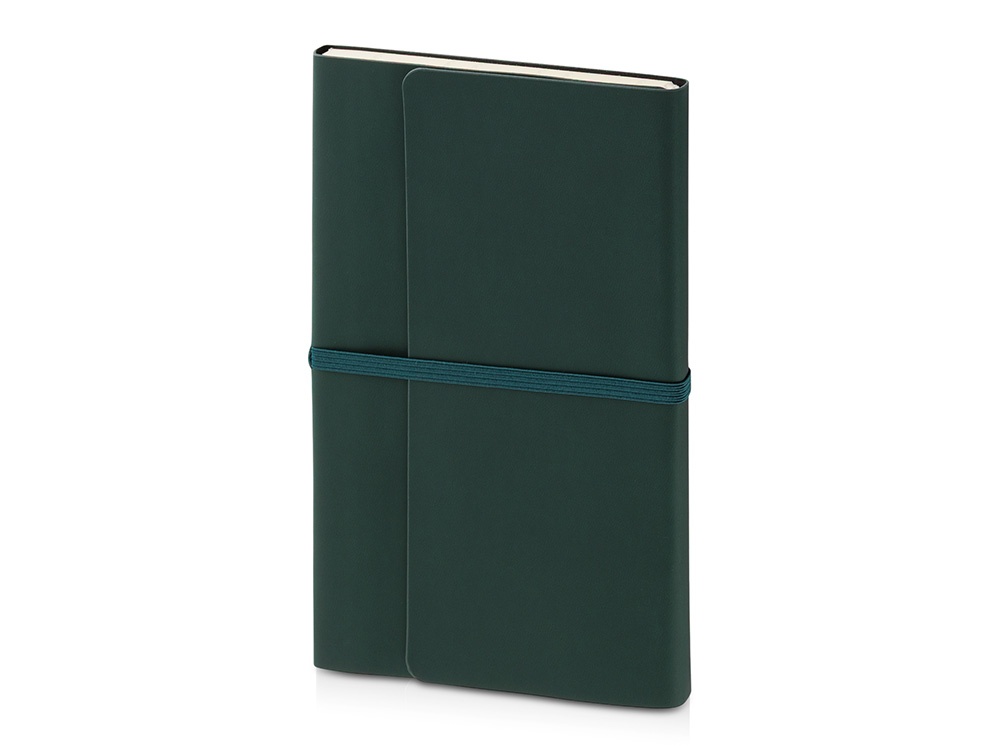 Ежедневник недатированный А5 Valencia