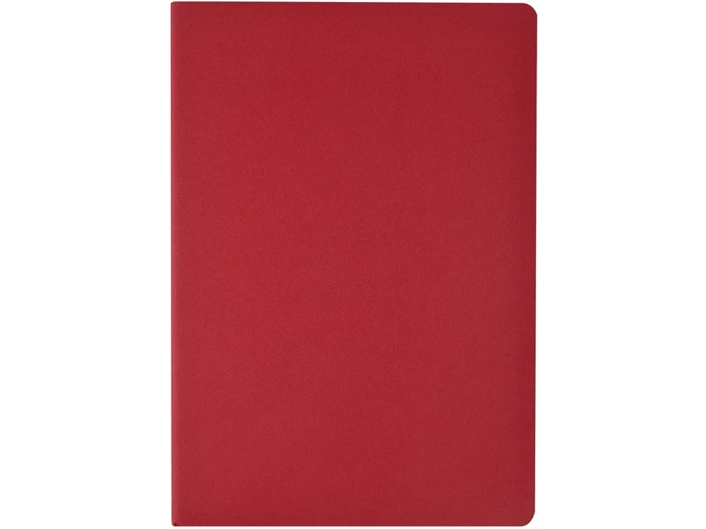 Бизнес-тетрадь А4 Pragmatic