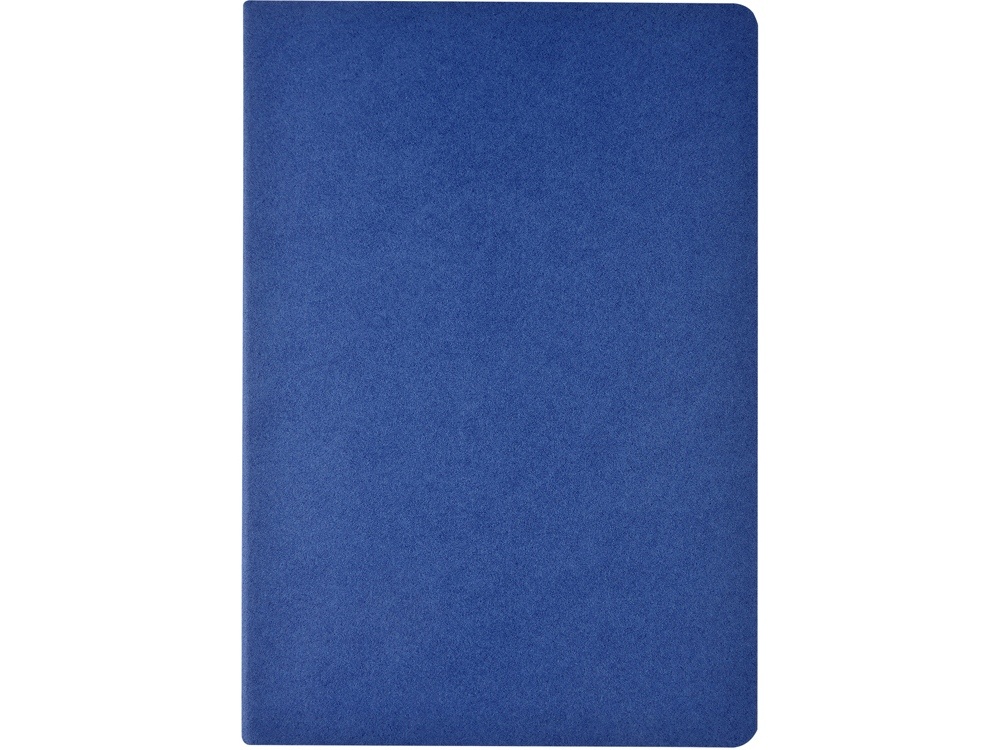 Бизнес-тетрадь А4 Pragmatic