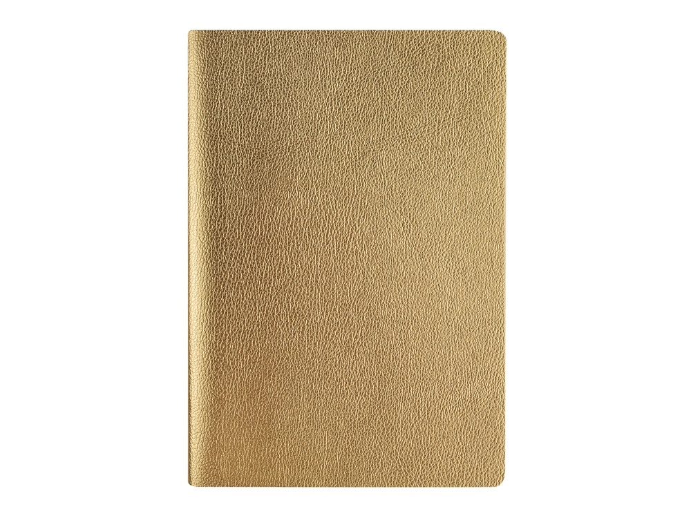 Бизнес тетрадь А5 Megapolis Velvet flex