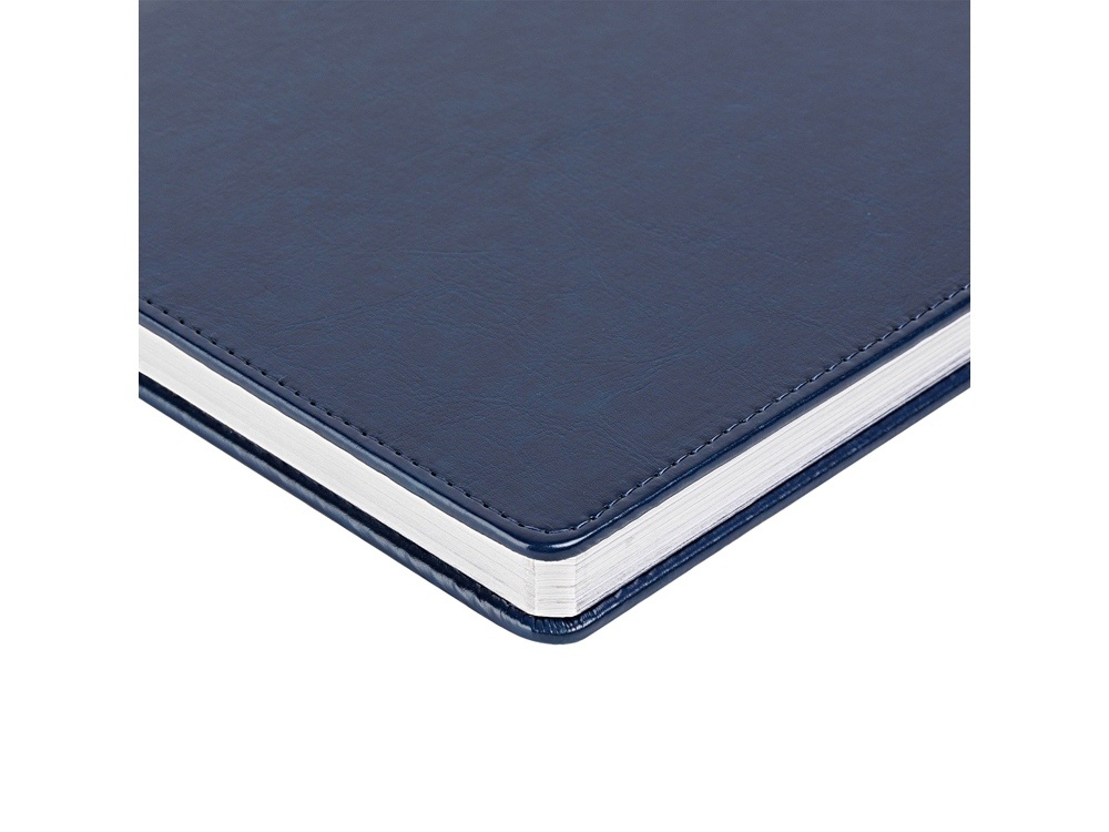 Ежедневник недатированный А6+ Sidney Nebraska с серебряным срезом