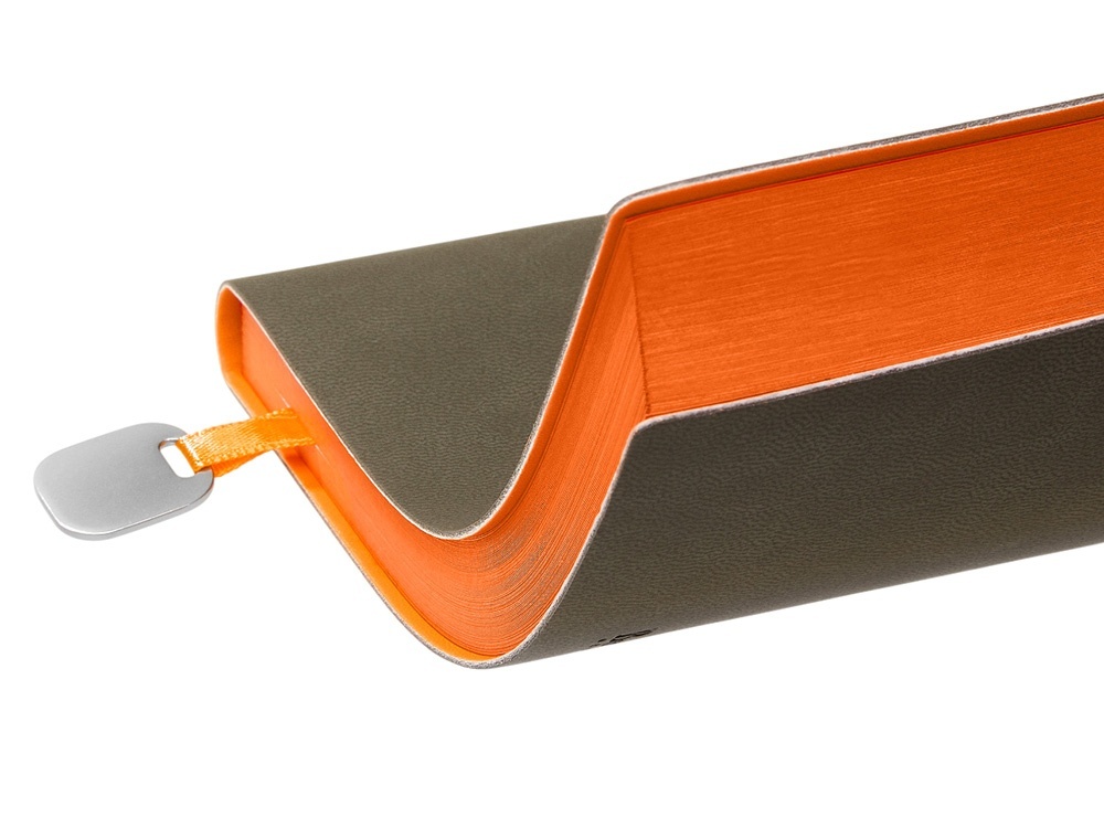 Ежедневник недатированный А5 Mercury