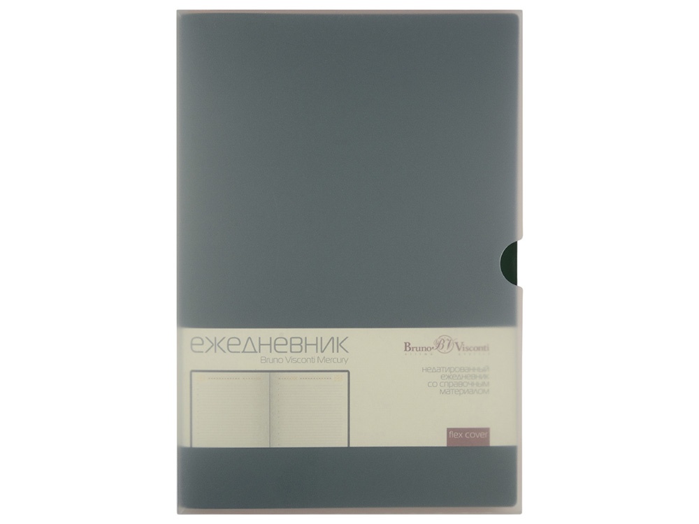 Ежедневник недатированный А5 Mercury