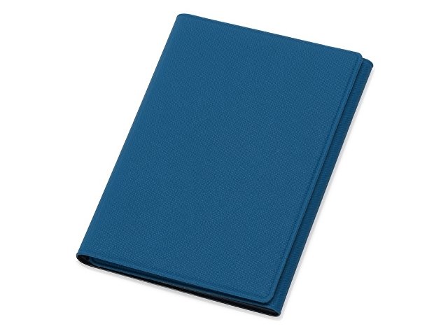 Обложка на магнитах для автодокументов и паспорта "Favor", синяя