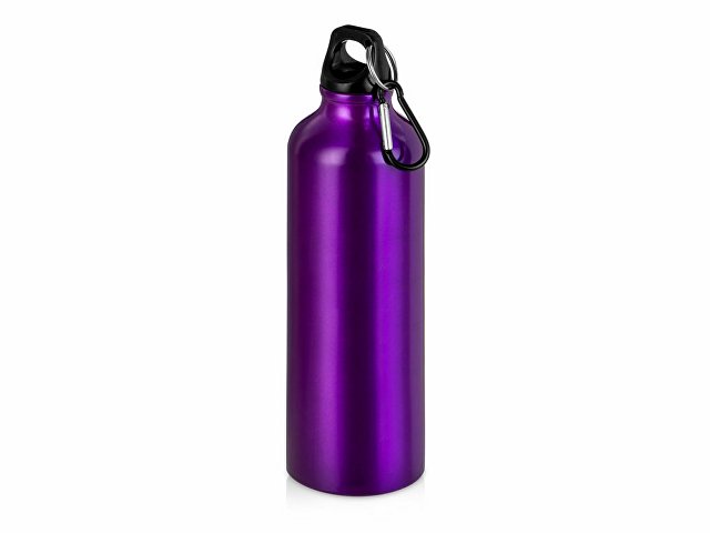 Бутылка "Hip M" с карабином, 770 мл, пурпурный