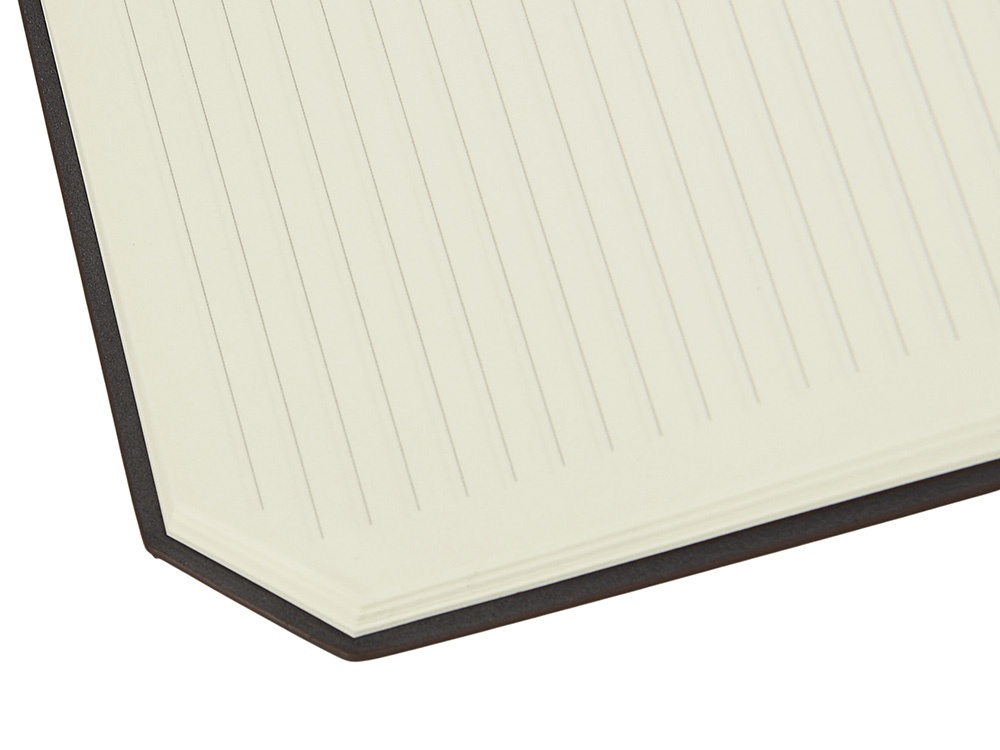 Блокнот А5 с магнитным клапаном в гибкой обложке Chaplin