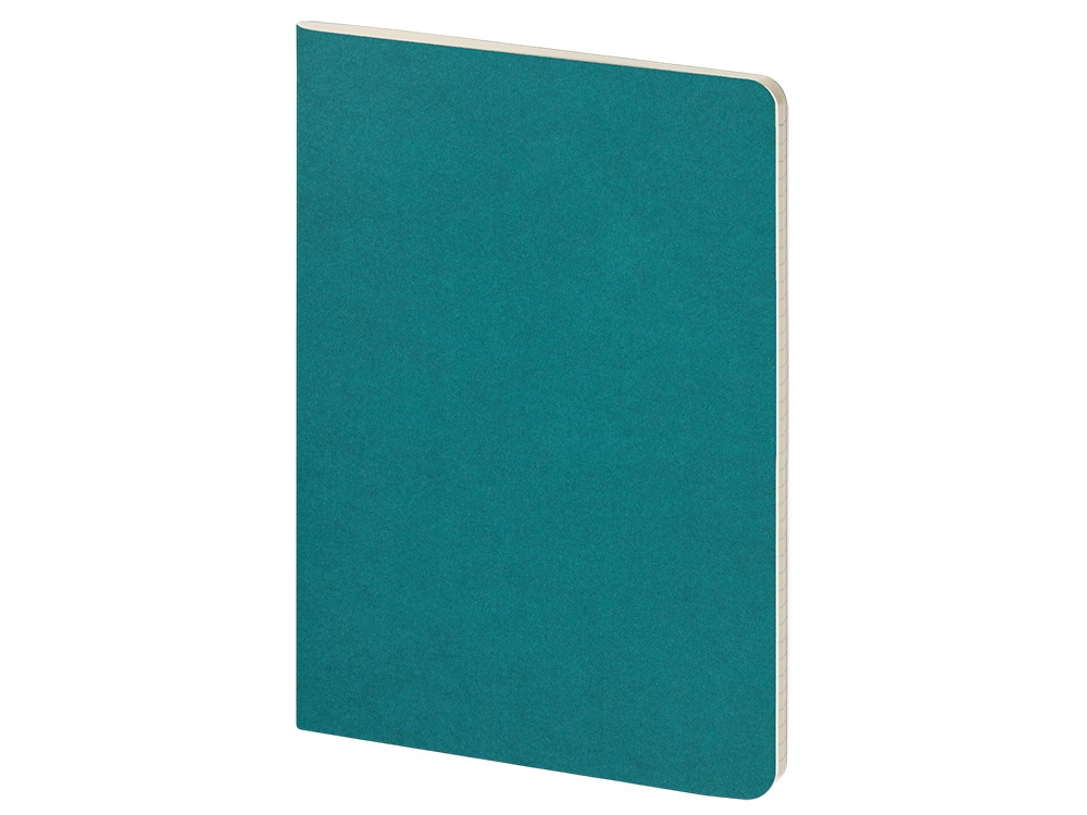 Бизнес тетрадь А5 Pragmatic